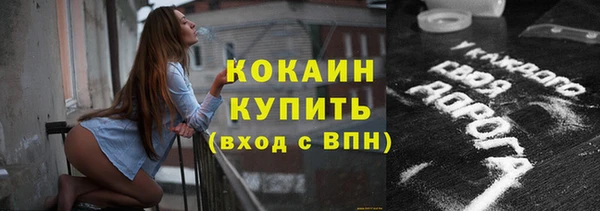 шишки Верея