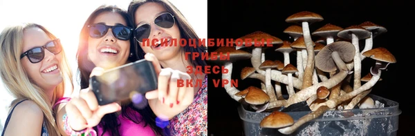 ешки Верхний Тагил