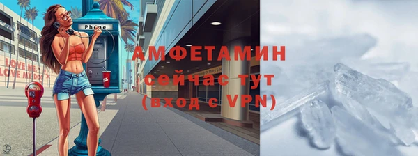 шишки Верея