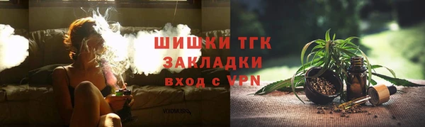 шишки Верея