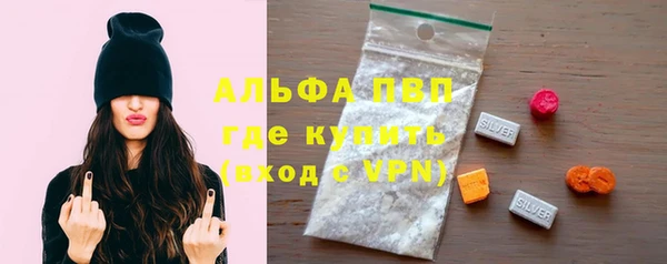 шишки Верея