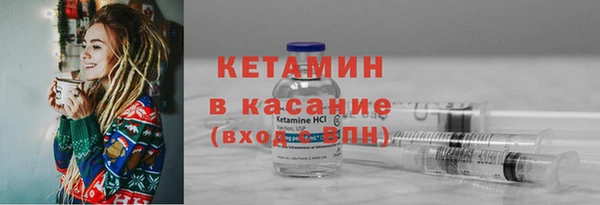 шишки Верея