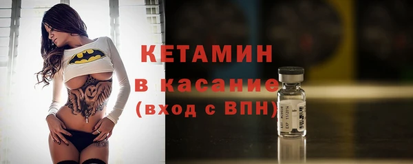 шишки Верея