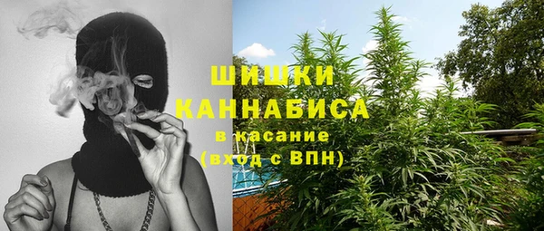 ешки Верхний Тагил