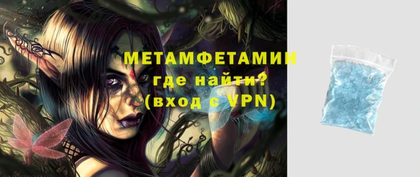 шишки Верея