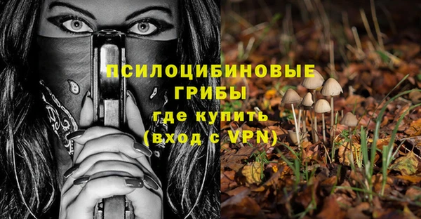 шишки Верея