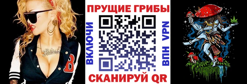 ссылка на мегу онион  где можно купить   Ижевск  Галлюциногенные грибы Psilocybine cubensis 